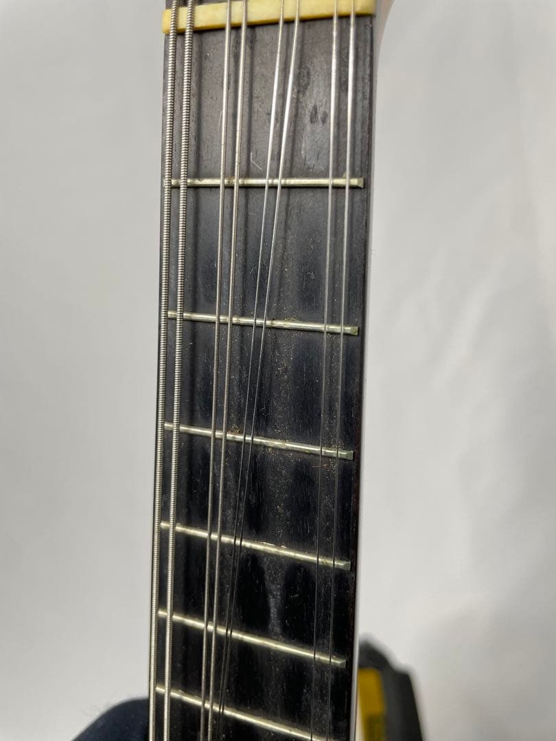 SUZUKI/スズキ クラシックマンドリン M-100