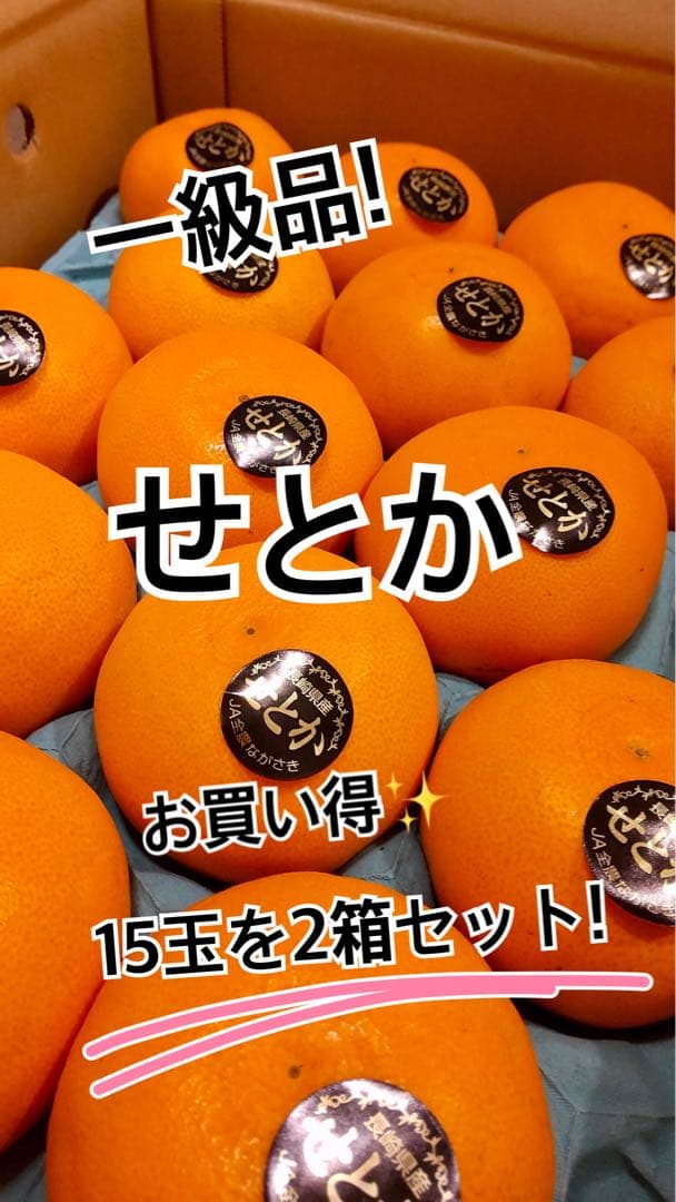 せとか 15玉 2箱セット