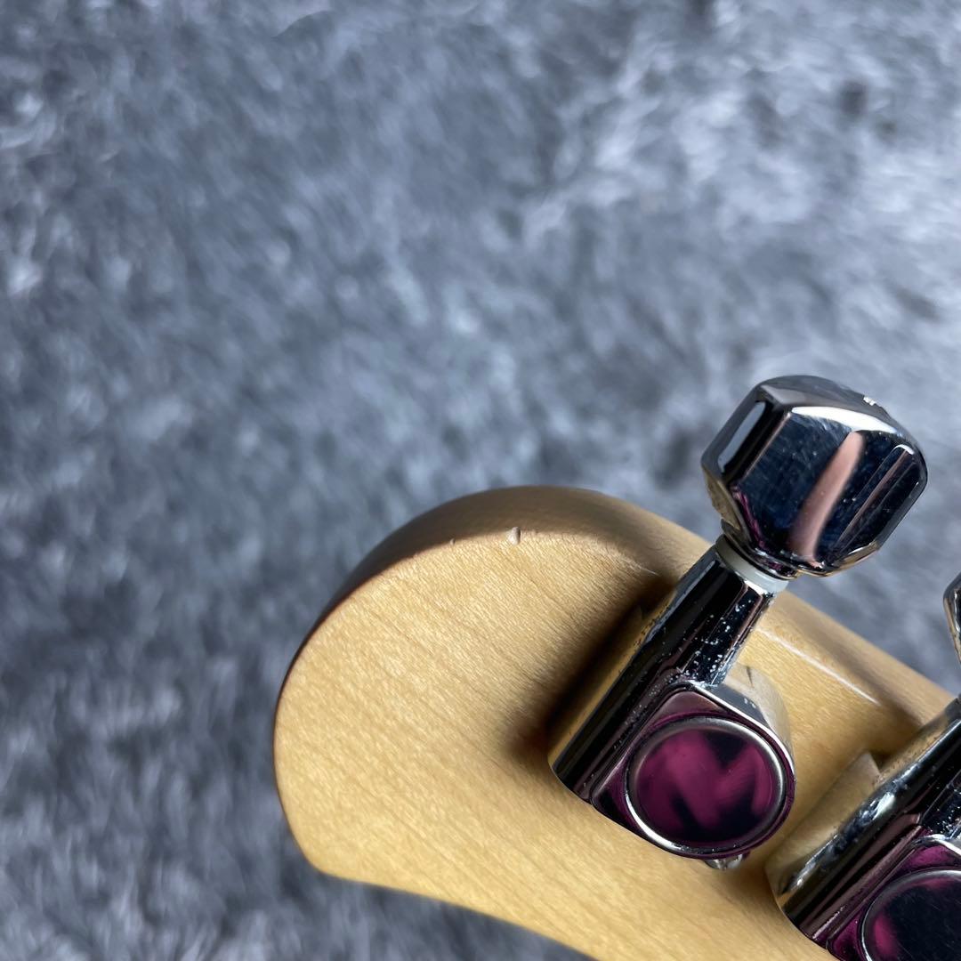 ギター Bacchus Global Series GP-001 MGR