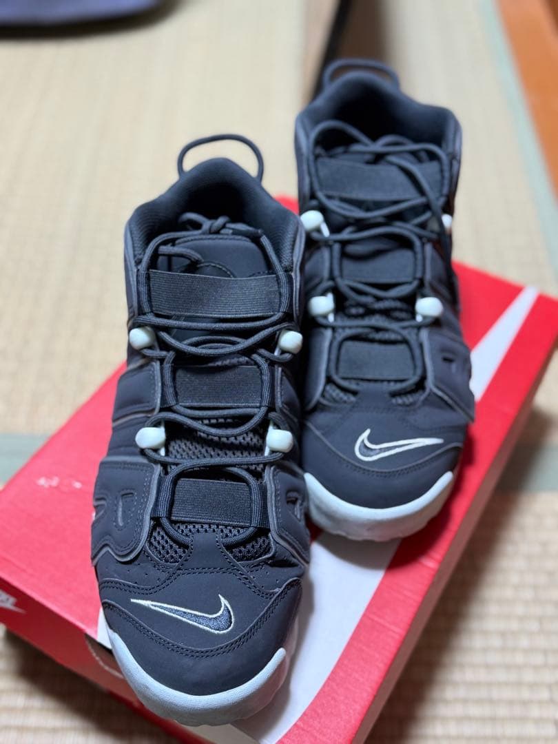 Nike Air More Uptempo グレー
