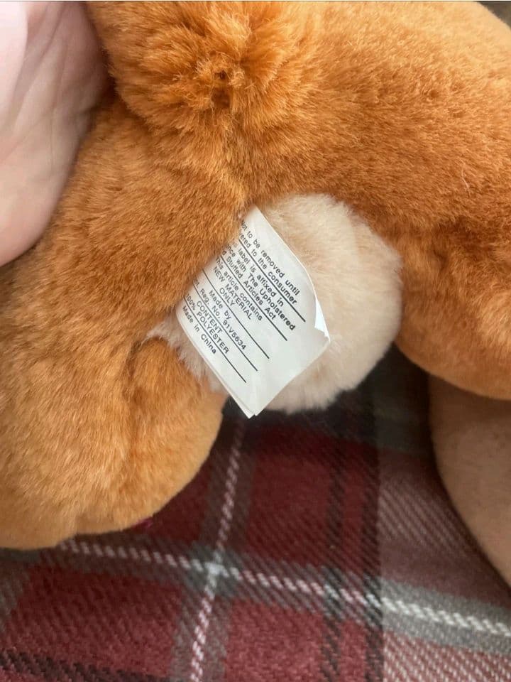 ディズニー【ライオンキング】ぬいぐるみ　コブとキアラ　14インチ