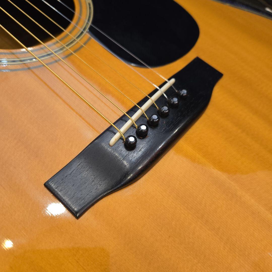 希少 TF MORRIS W-50 アコースティックギター ビンテージ