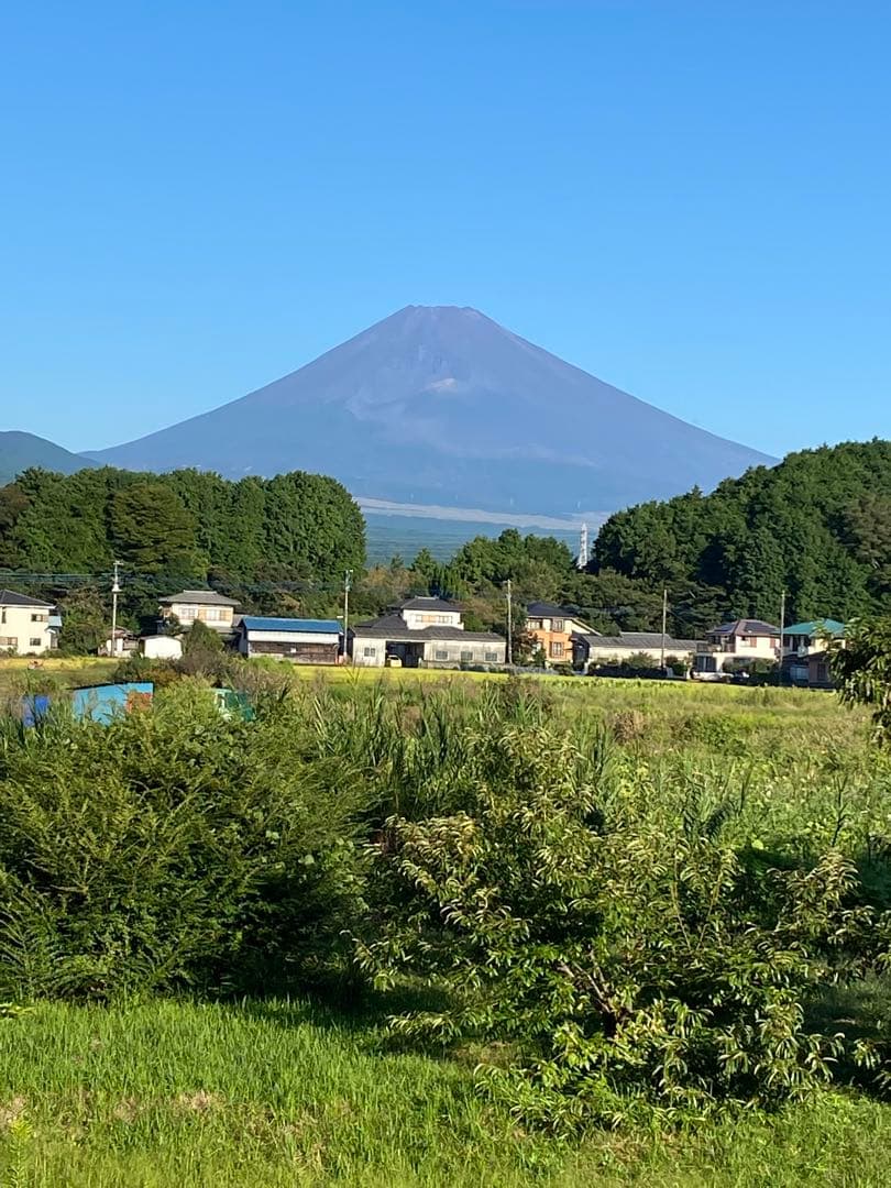 ハヤトウリ　14キロ 富士山麓産