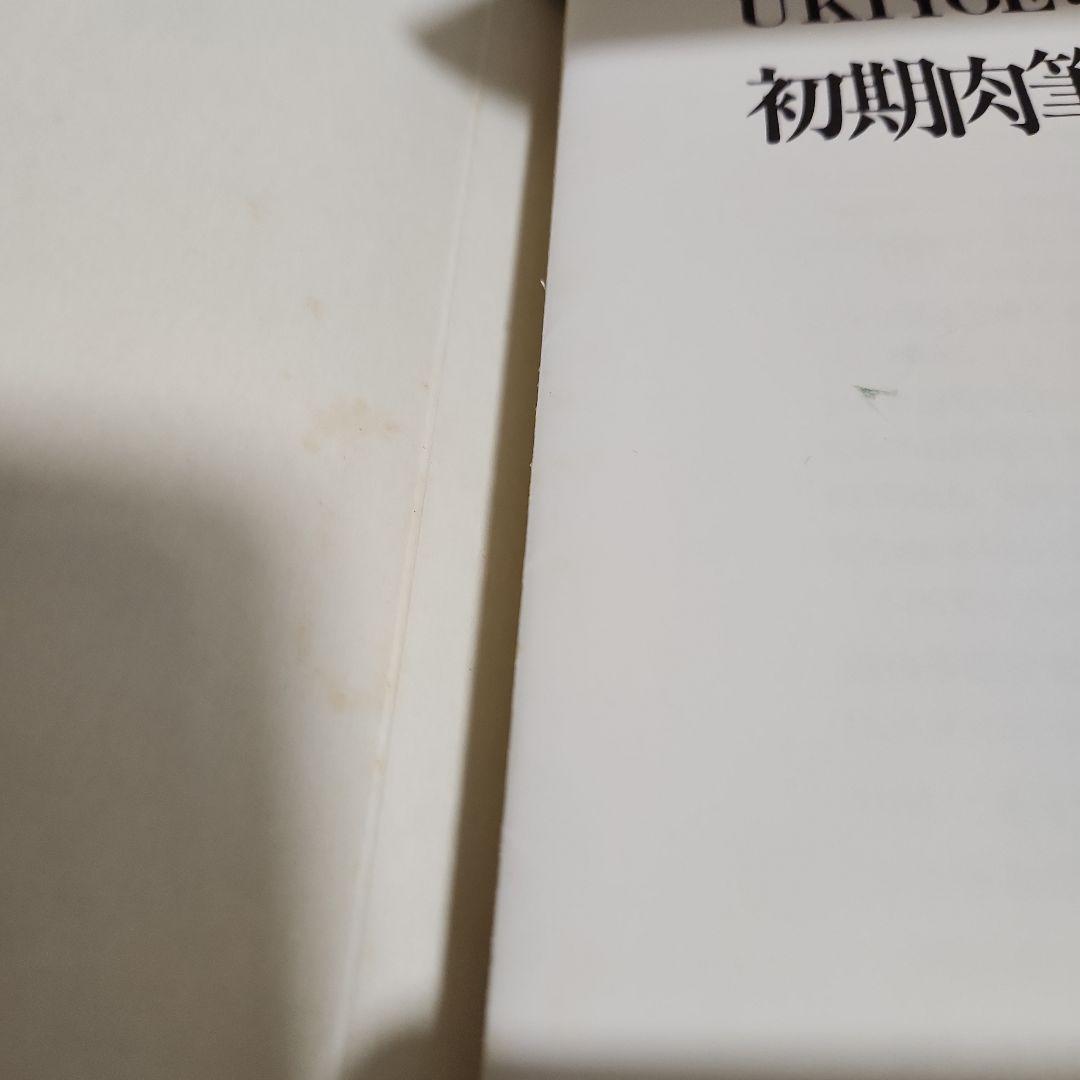 春画　浮世絵　UKIYO-EROS IN JAPAN 5冊　歌麿　北斎