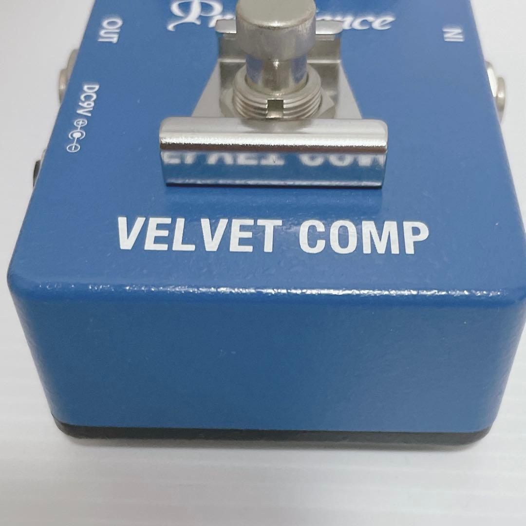 Providence VELVET COMP 送料無料 プロビデンス