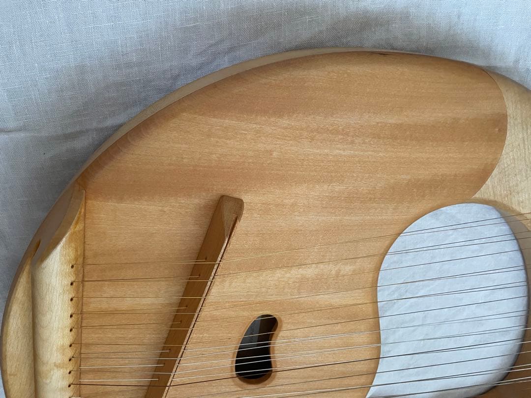 ザーレムライアー　SALEM 27弦