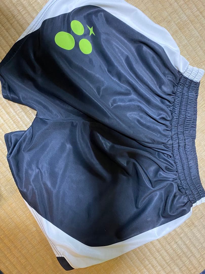 武蔵さん専用　バレーボール