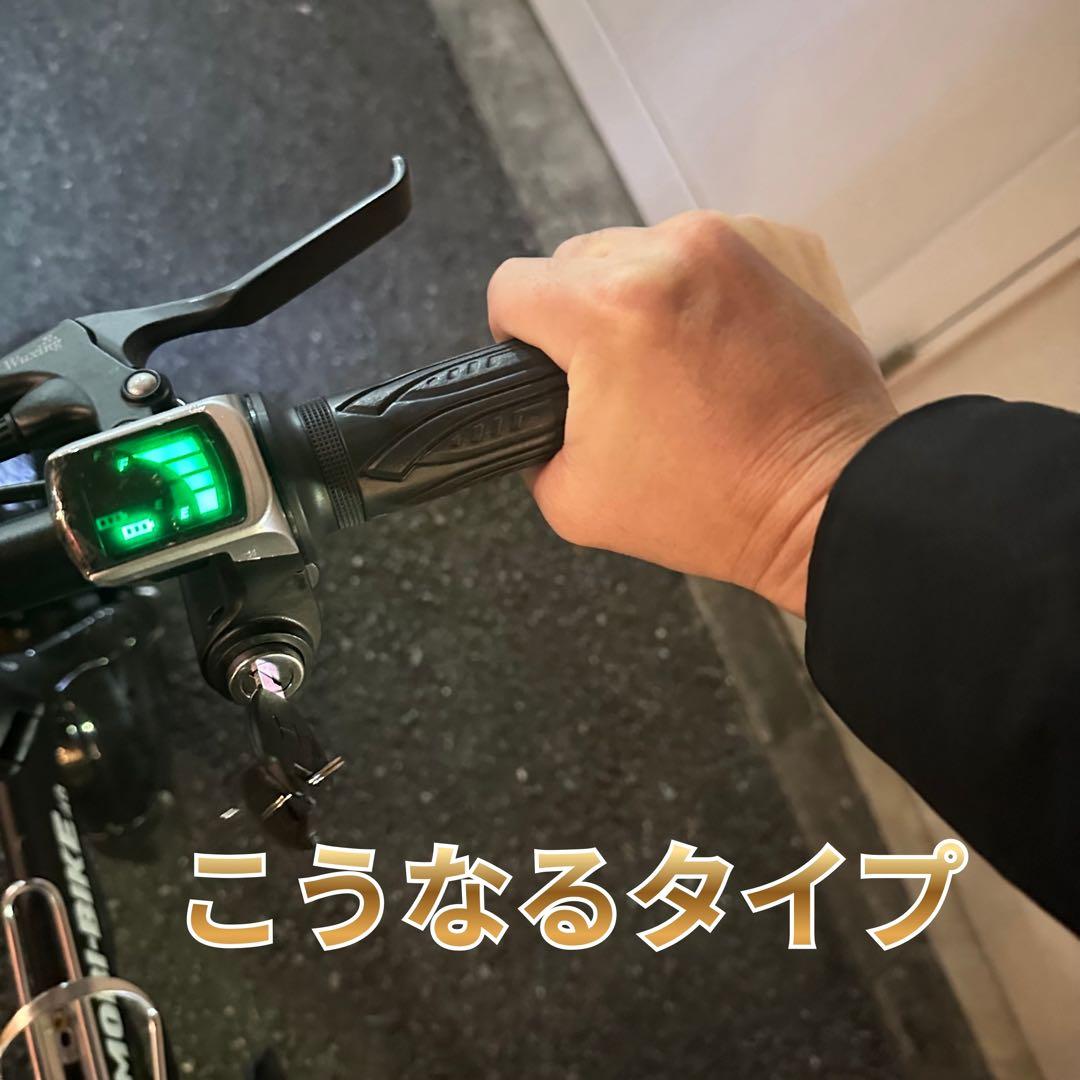 電動アシスト自転車