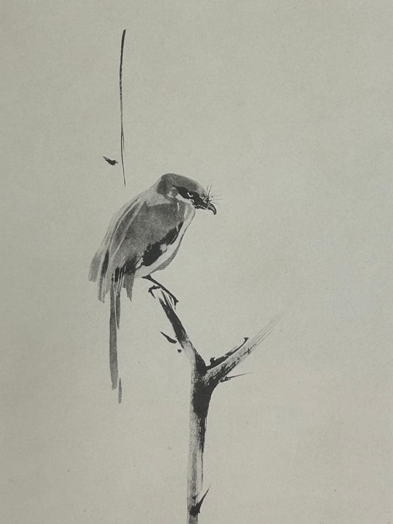 「枯木鳴鵙」　宮本武蔵　掛け軸 掛軸 共箱あり 限定1000部謹製 802番