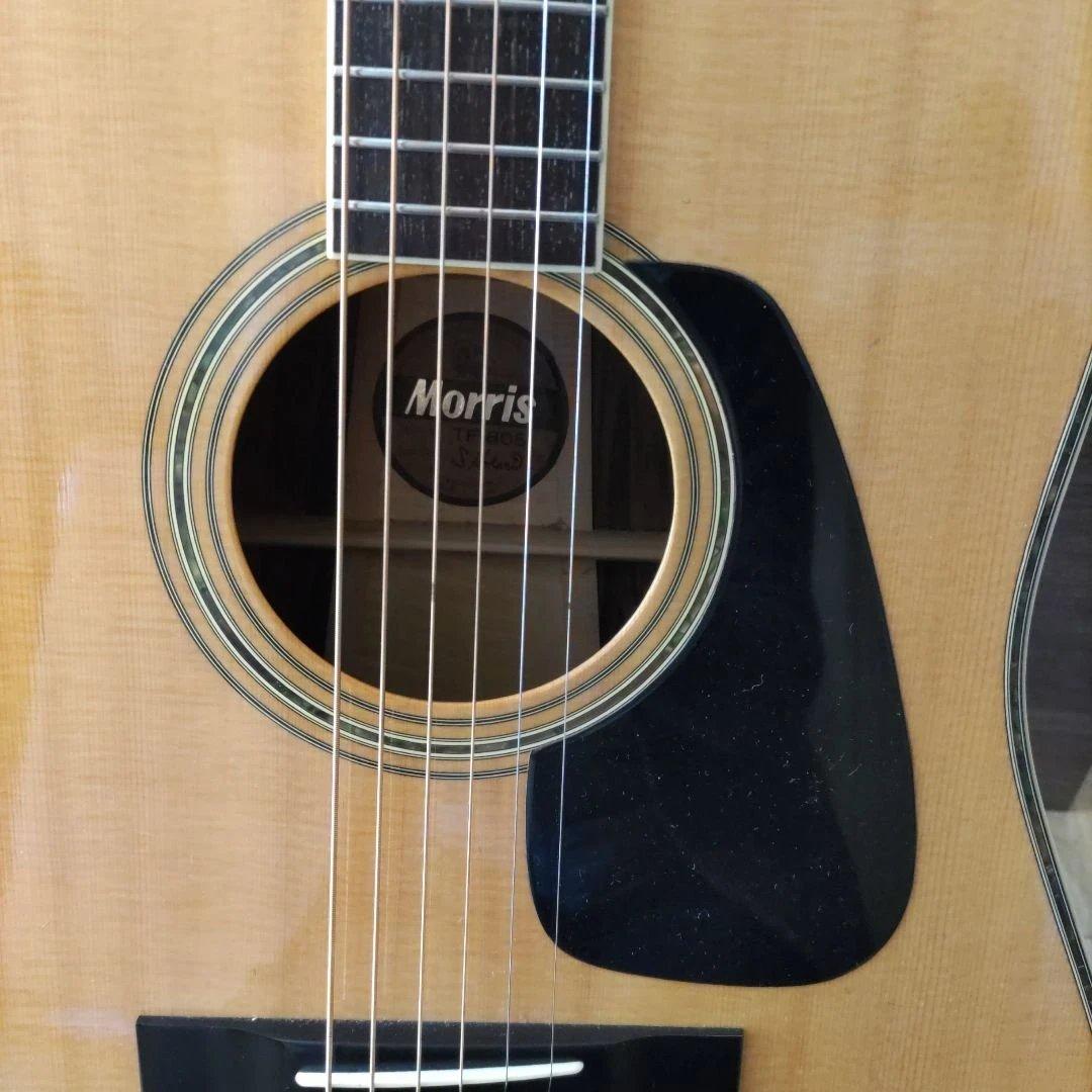 モーリスアコースティックギターTF-805