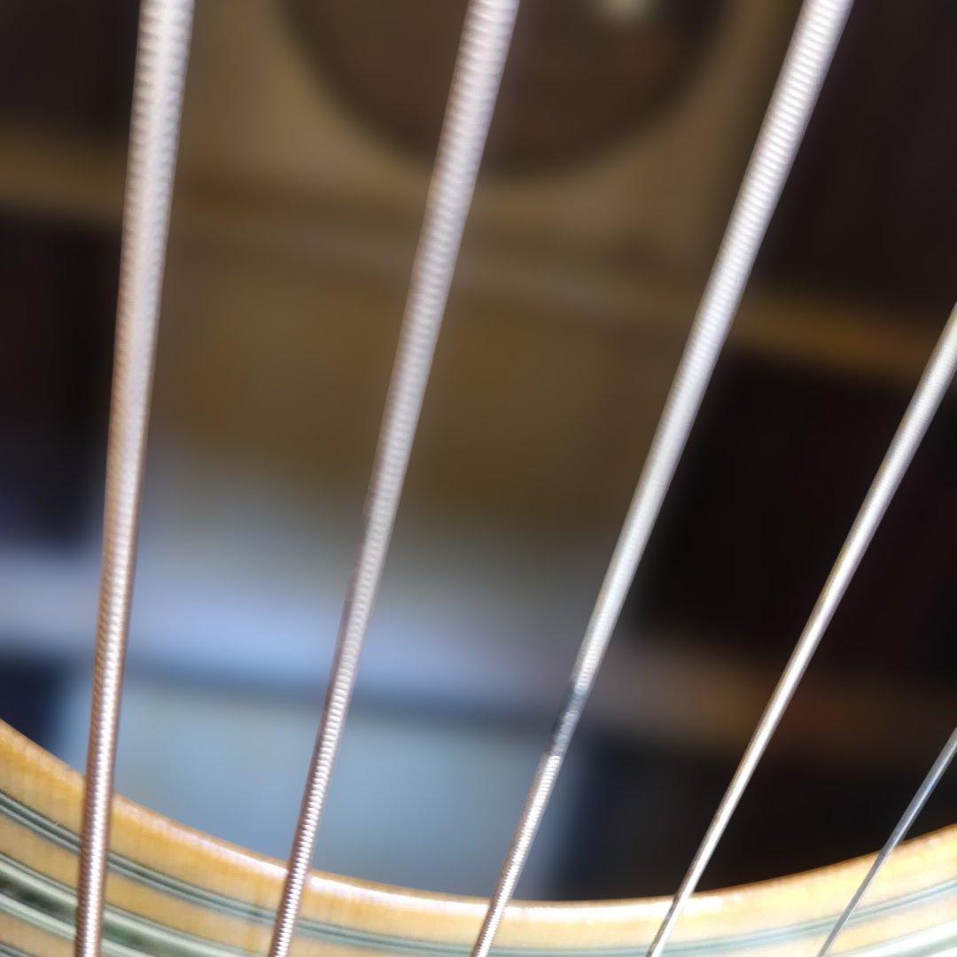 モーリスアコースティックギターTF-805