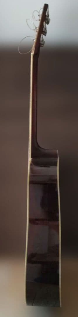 モーリスアコースティックギターTF-805