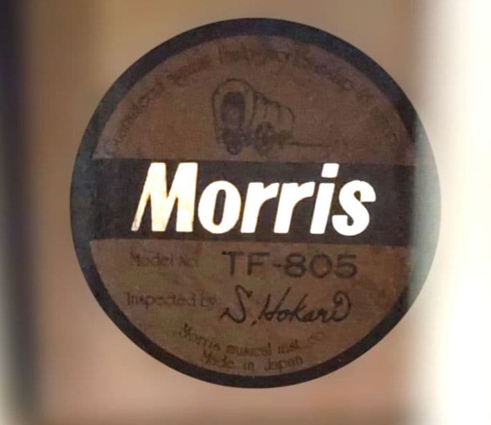 モーリスアコースティックギターTF-805