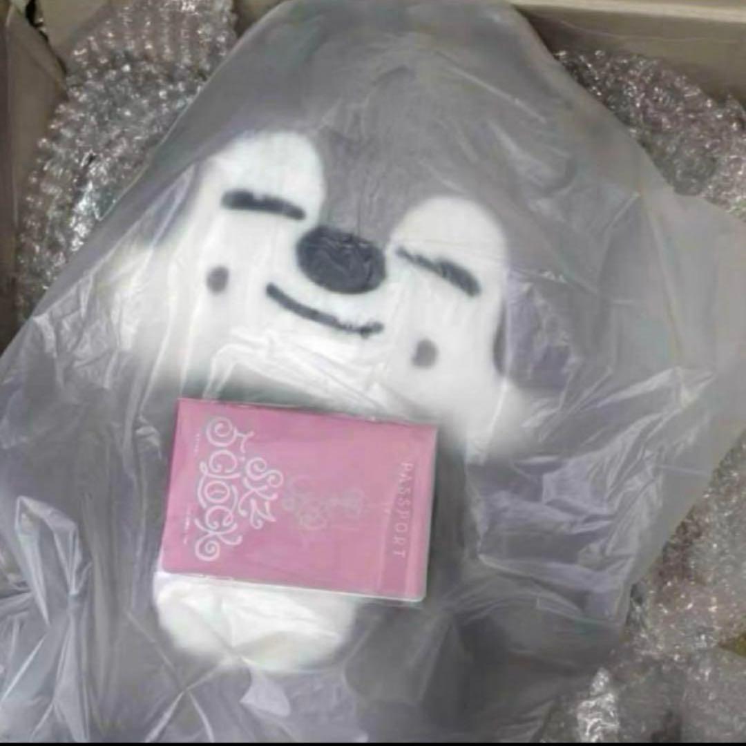 straykids スキズ テディベア SKZOO ウルフチャン　teddy