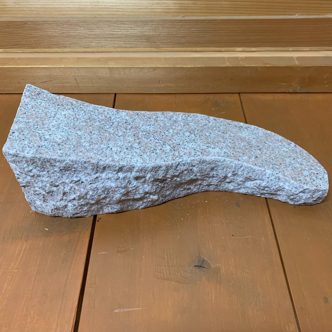 爬虫類　バスキングスロープ　17