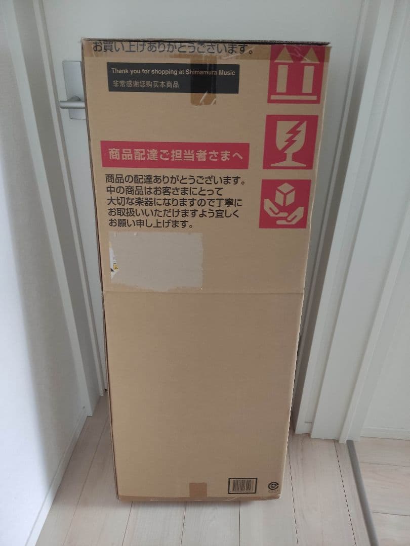 グラスルーツ　レスポールスペシャル