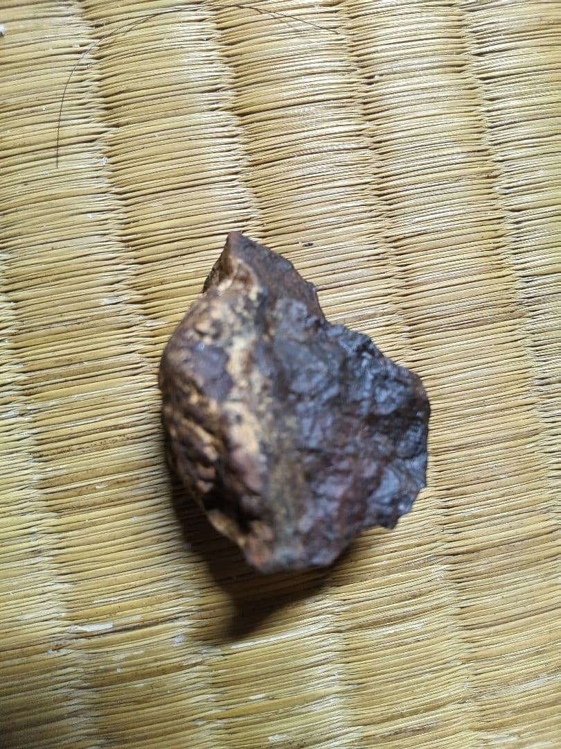 宇宙からの贈り物　石質隕石コンドライト　サハラ砂漠(C)