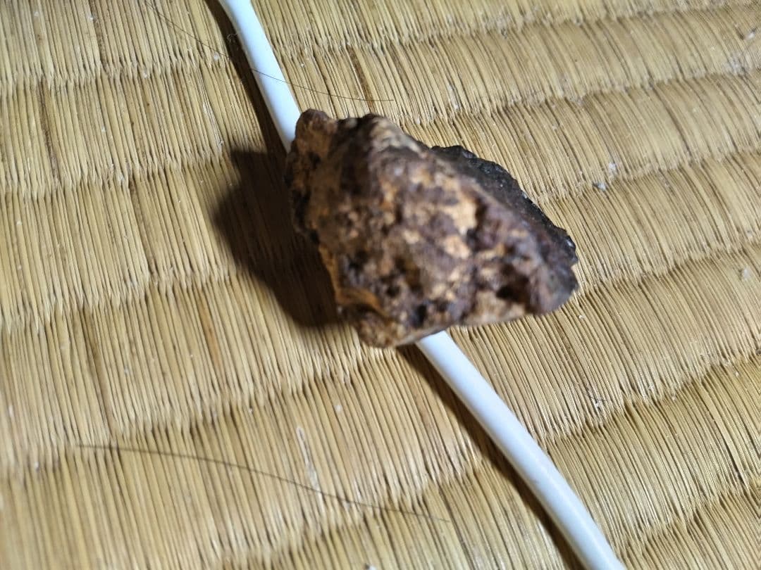 宇宙からの贈り物　石質隕石コンドライト　サハラ砂漠(C)