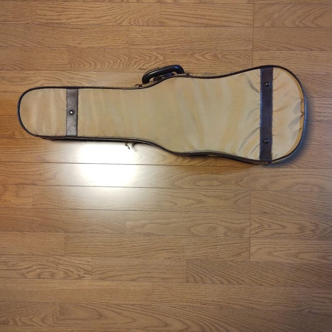 カール・ヘフナー　ヴィオラ 本体 ＋いろいろセット