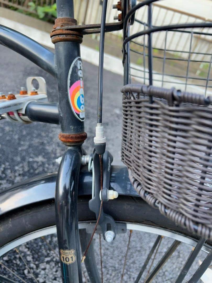 ビーチクルーザー 29インチ レインボー 直接取引可能