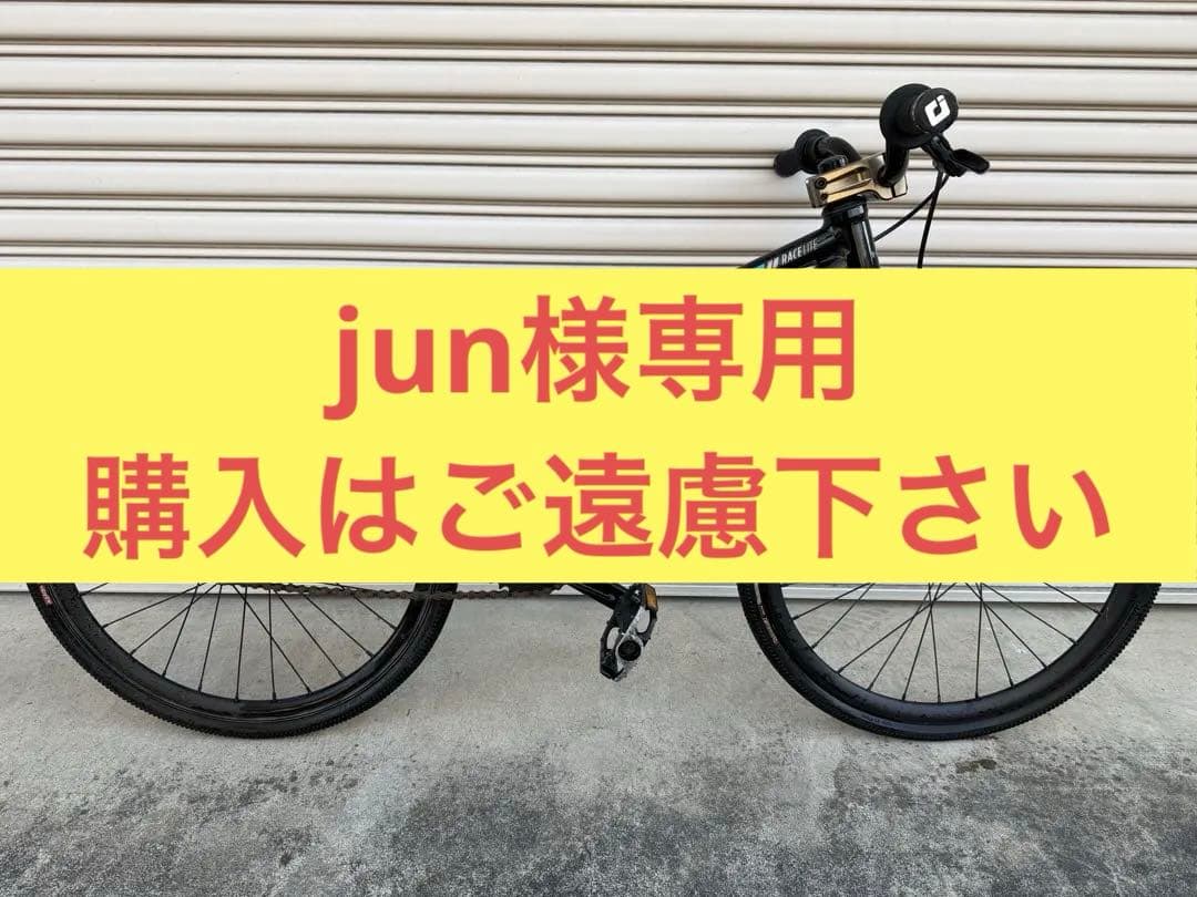 自転車本体 HARO BMX RACELITE MINI