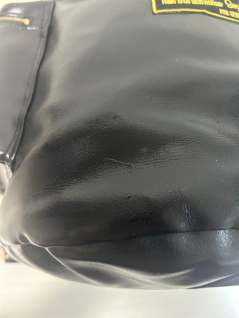 浅井健一　SEXY STONES RECORDS ジンジャーバッグ　リュック