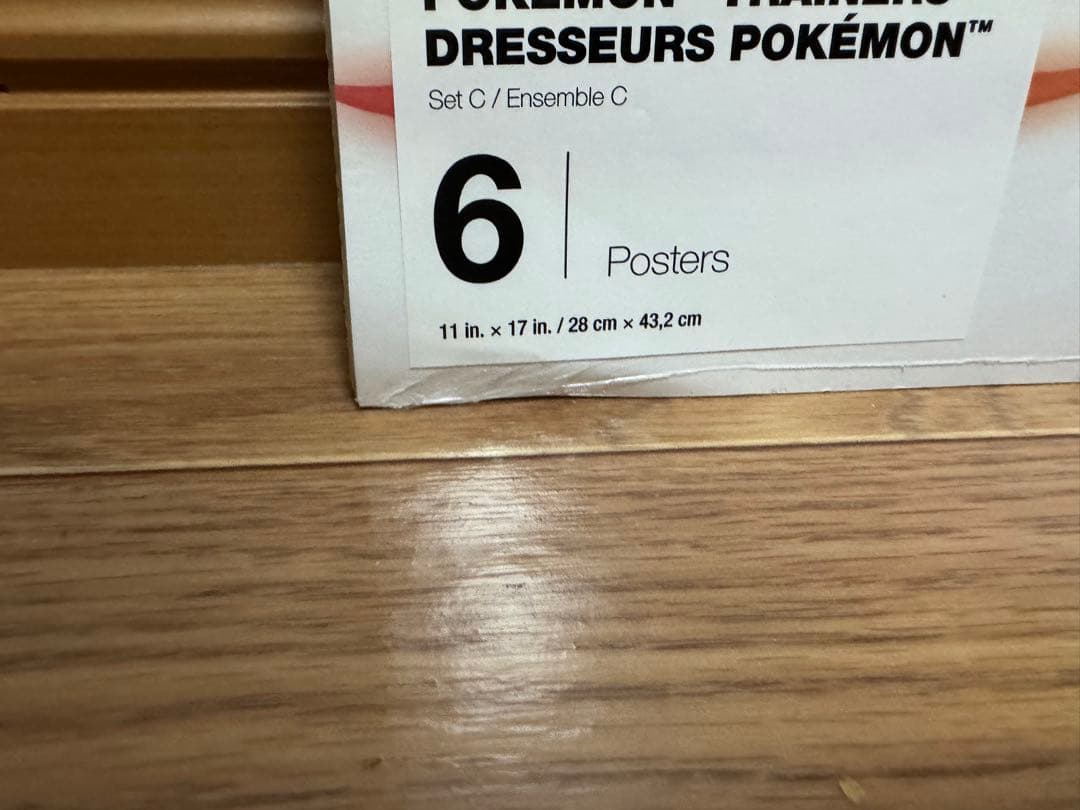 【海外ポケモンセンター限定】ポケモン トレーナーズ ポスター 24枚 セット
