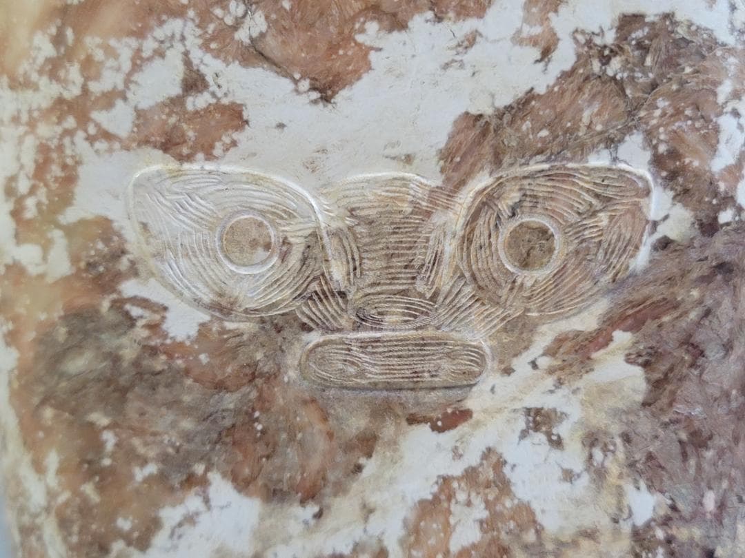 中国 砡石刻 饕餮紋 祭飾 DT742