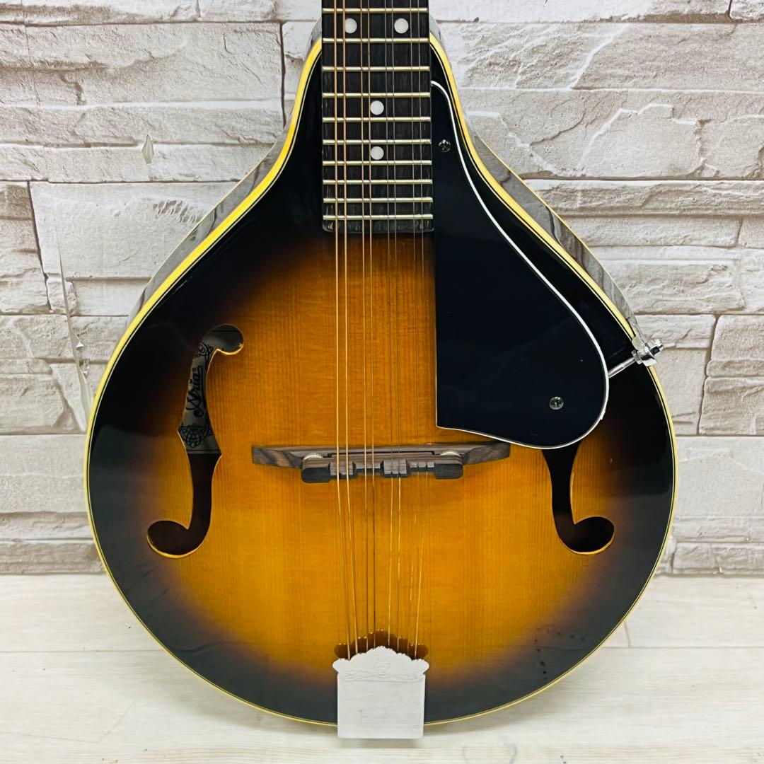 Aria アリア フラットマンドリン AM-200