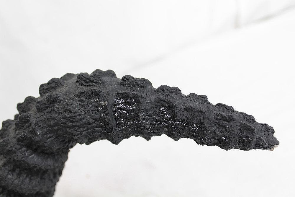 ◇初代ゴジラ 独立6chラジオコントロールシステム搭載ラジコン 06432