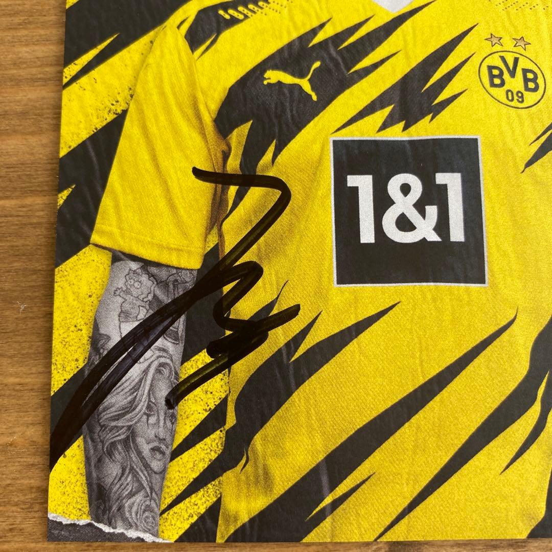 サンチョ　オートグラフ