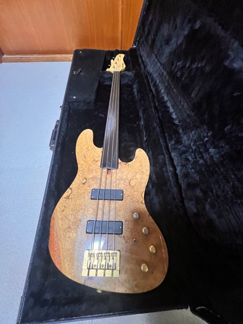 熊SCHECTER PW-EX-B-BL/FL