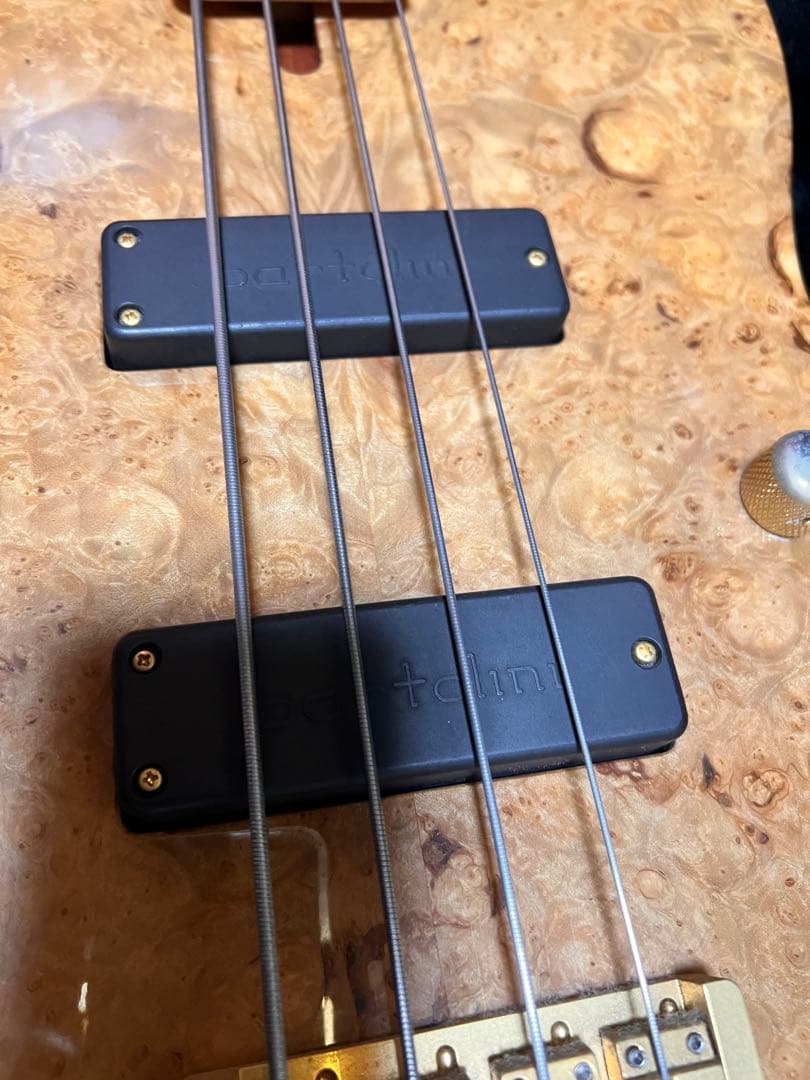 熊SCHECTER PW-EX-B-BL/FL