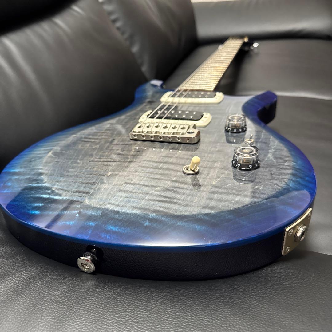 ギター Paul Reed Smith (PRS) S2 Custom 24-08