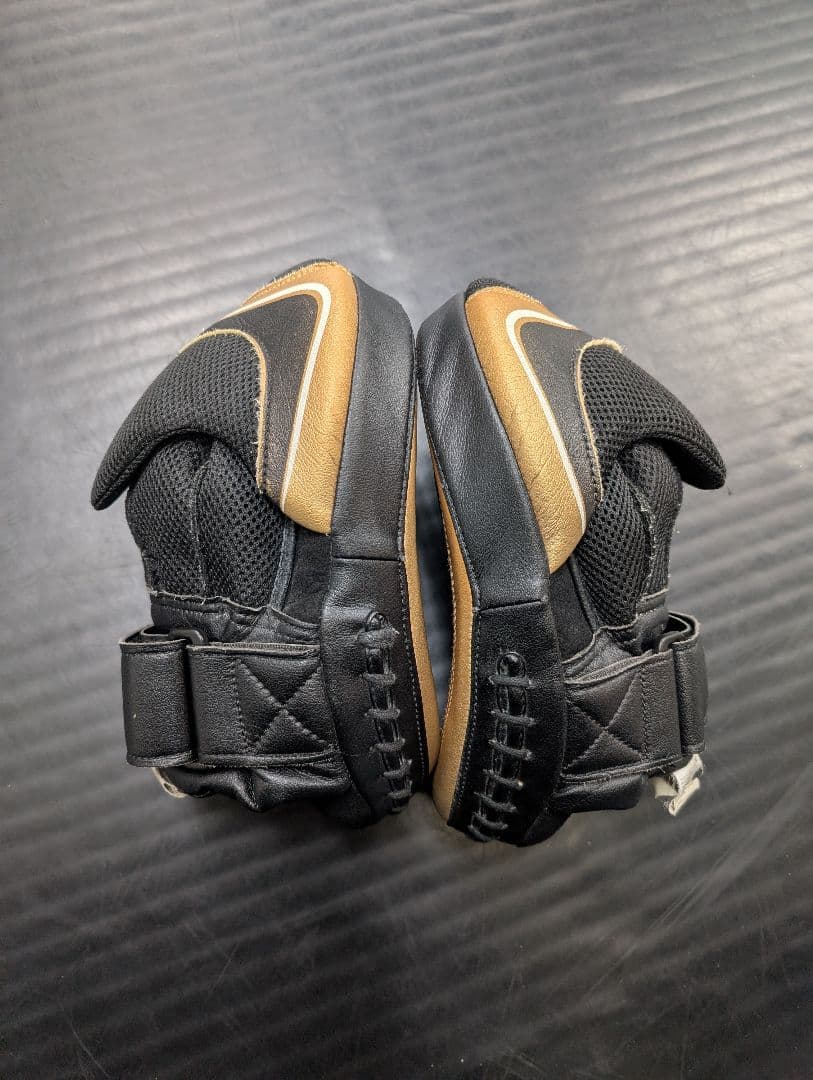 RIVAL D30 パンチングミット