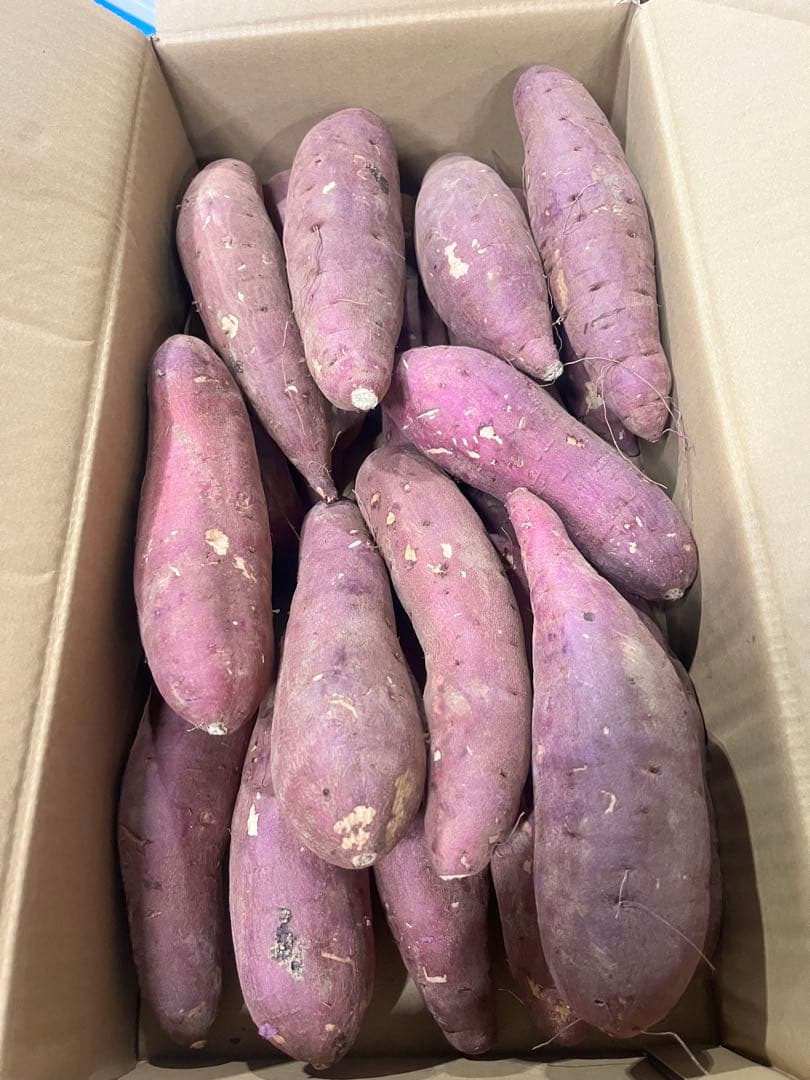 大分県産　甘太くんB品Mサイズ　20キロ