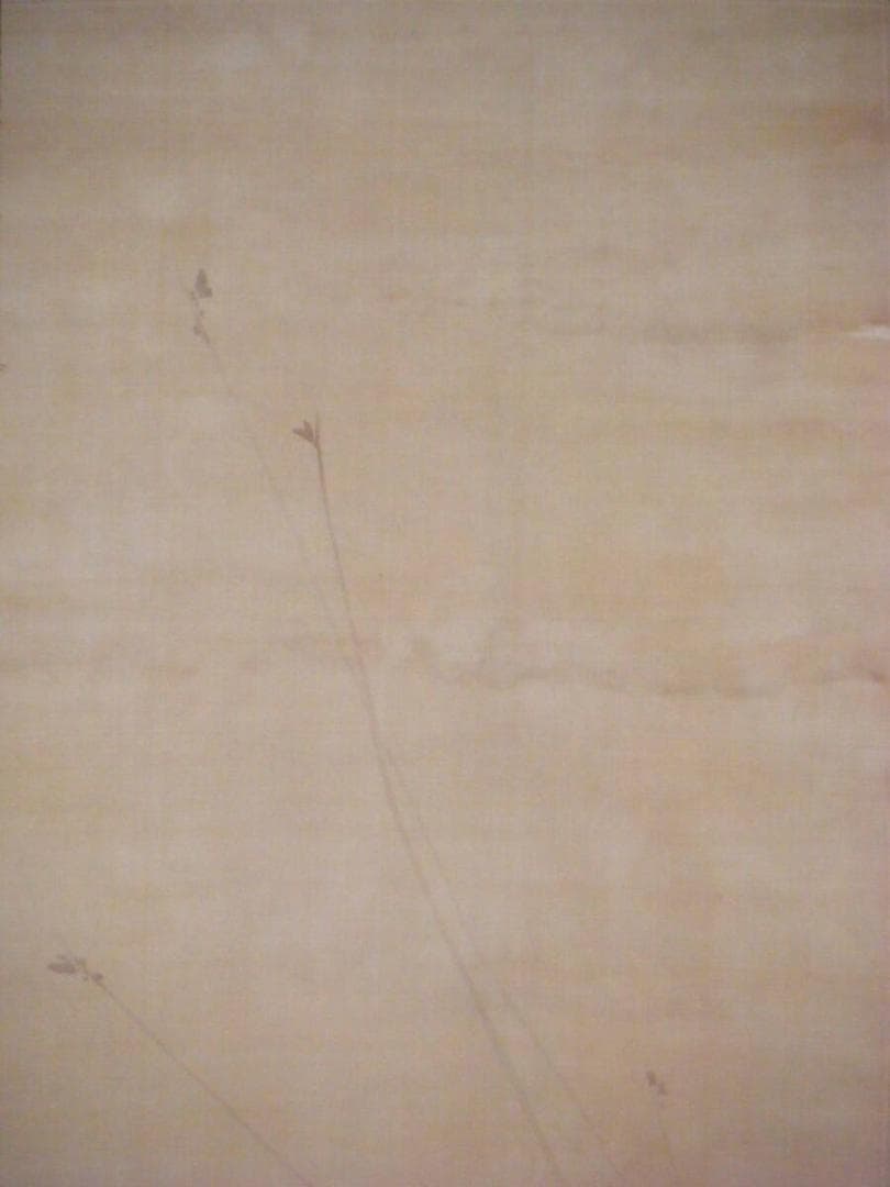 【真作】掛軸　双鯉図　逸品　O73