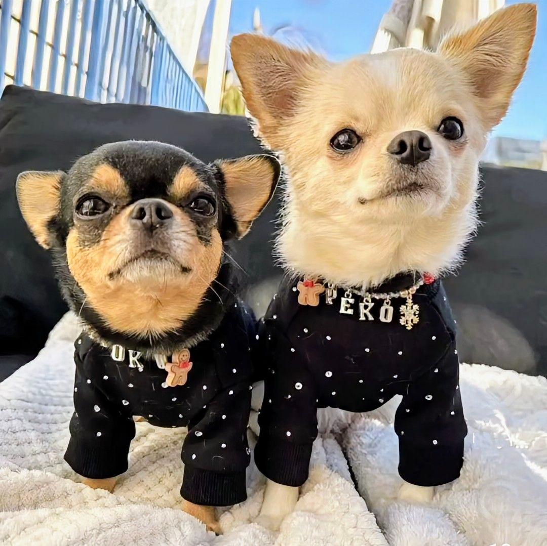 親子ペア DIAMOND ウーフリンクWOOFLINK