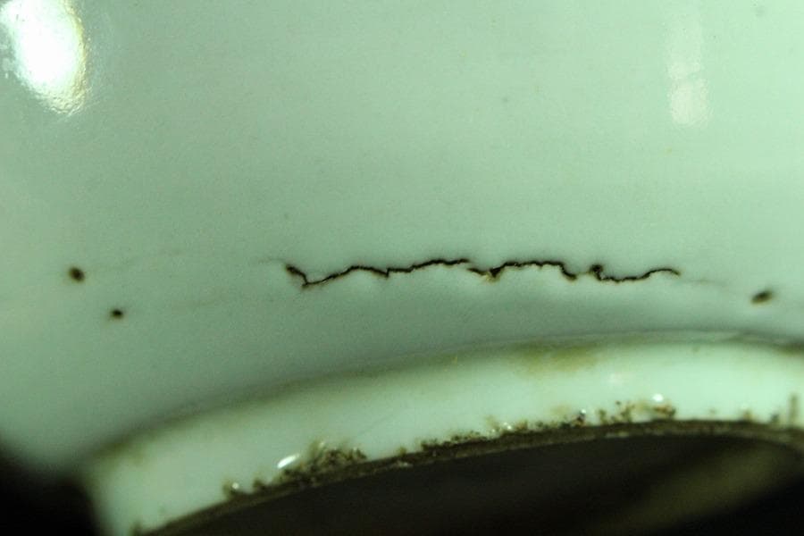 唐物 古染付 青花 青菜紋 皿 十件揃 虫喰い 中国(K-A408)