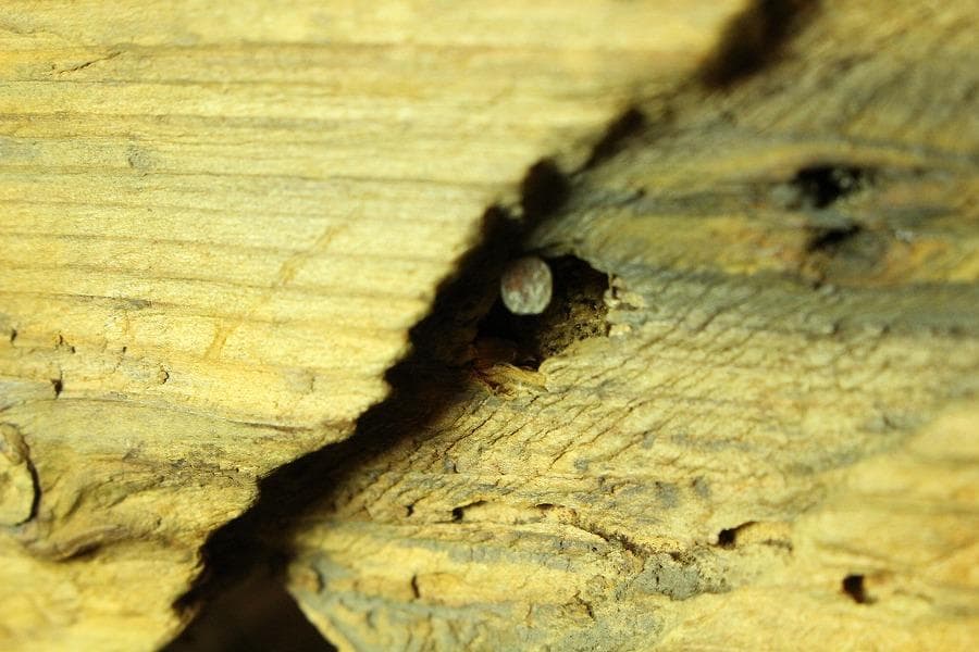 茶道具 古民具 舟板 吊瓶 花器(K-YB310)