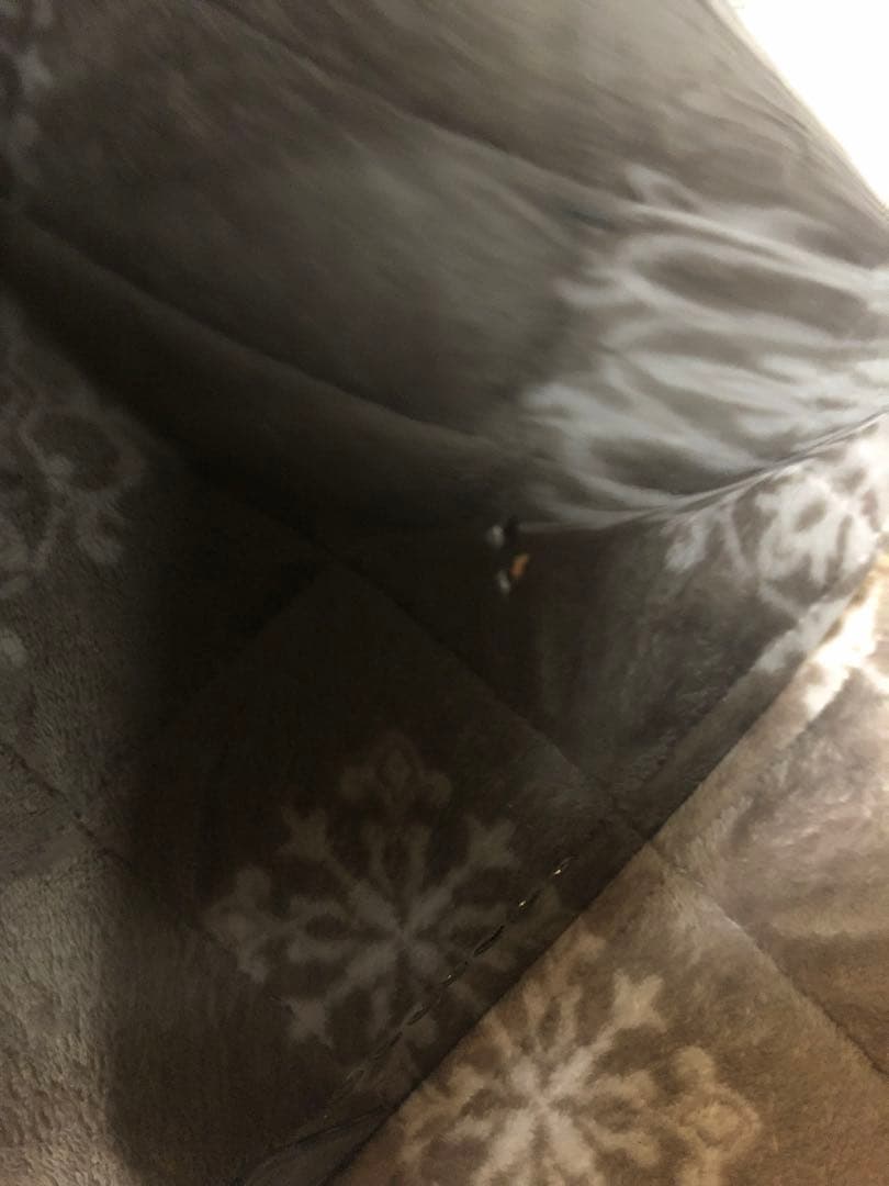 ギター SCHECTER C-7 HellRaiser [AD-C-7-HR]