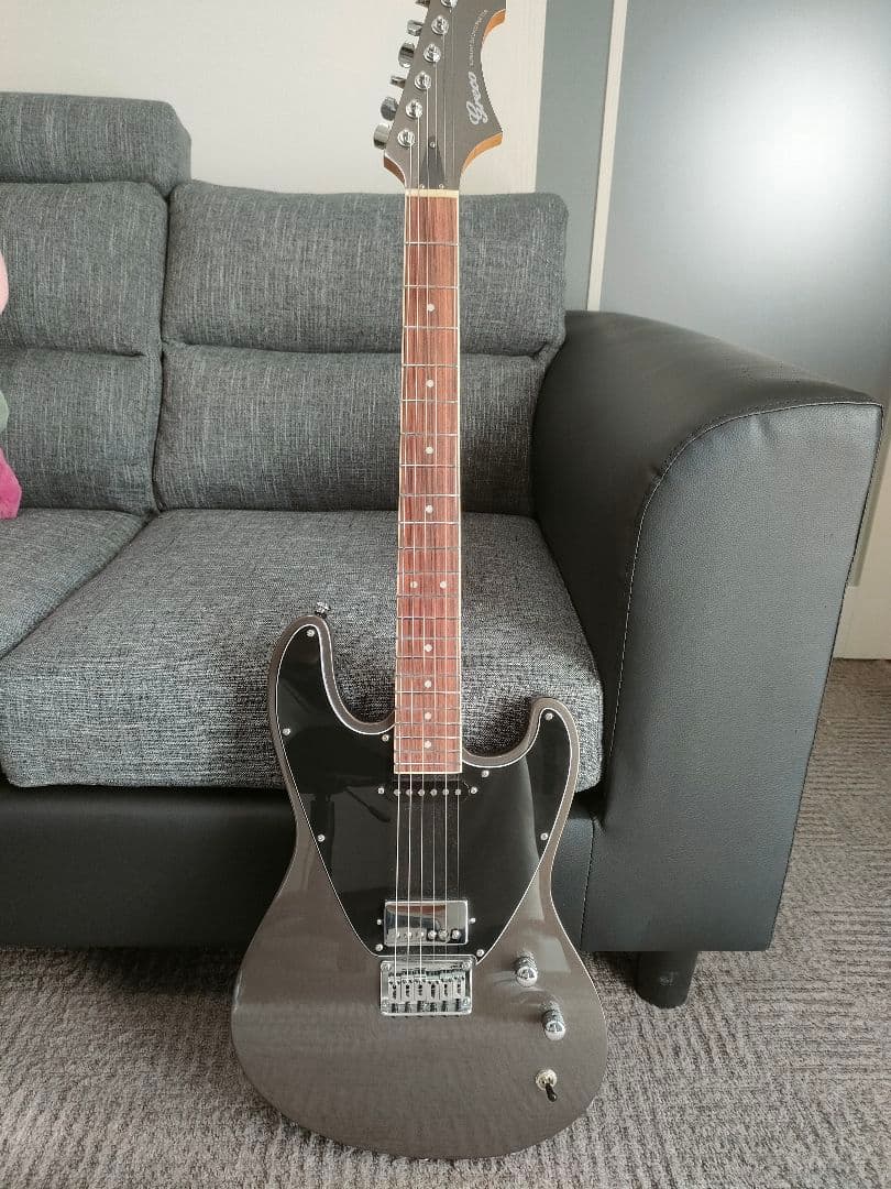 GRECO グレコ BGWT22 MGY llic Grey とても綺麗