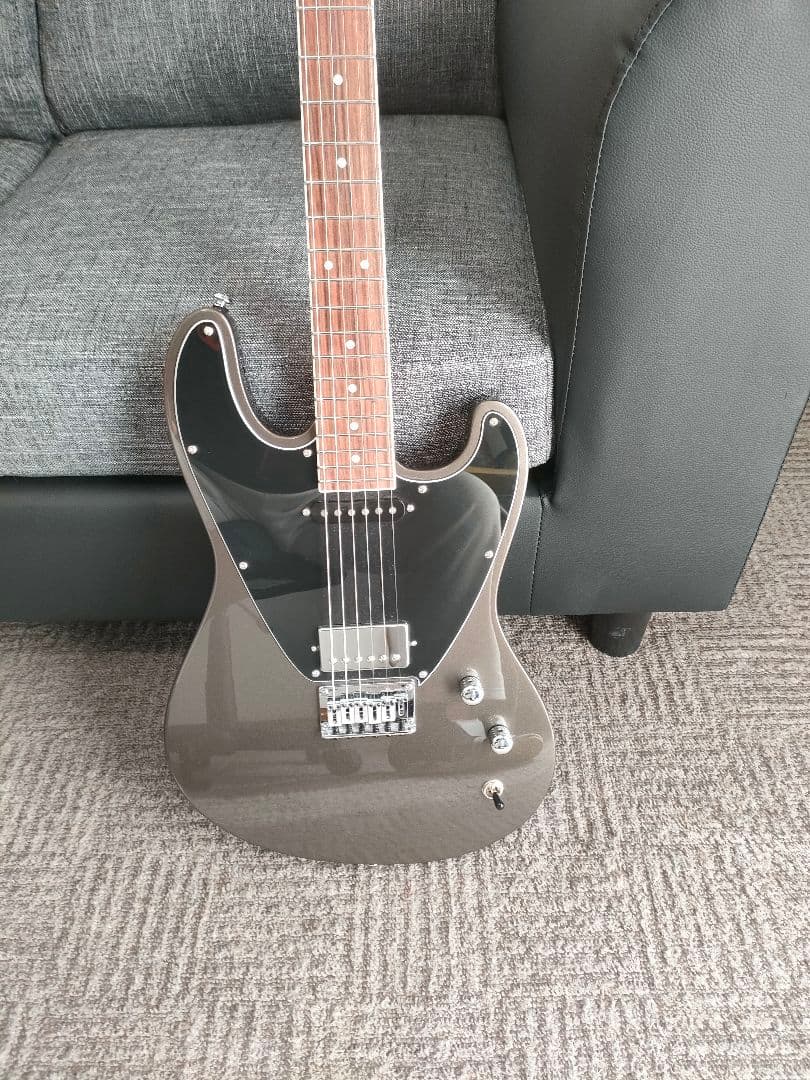 GRECO グレコ BGWT22 MGY llic Grey とても綺麗