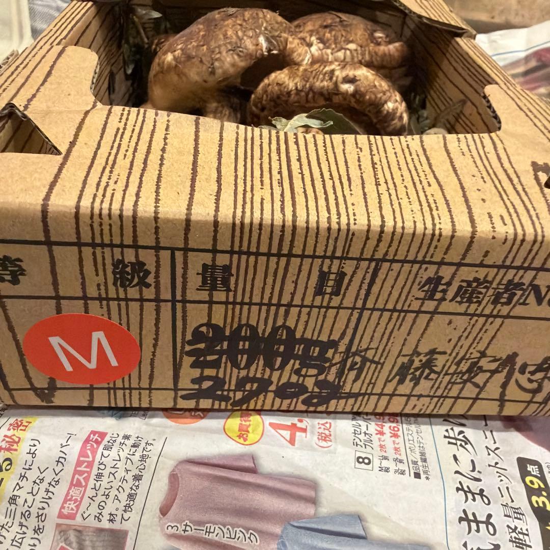 長野県産　松茸　190g おまけ付