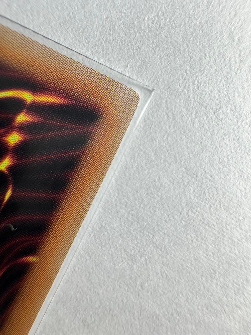 遊戯王 灰流うらら 絵違い QCAC 25thシークレット