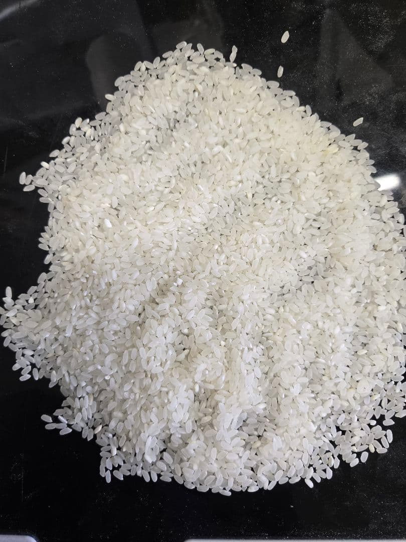 専用出品　アメリカ産カルローズ30kg(10kg×3袋)