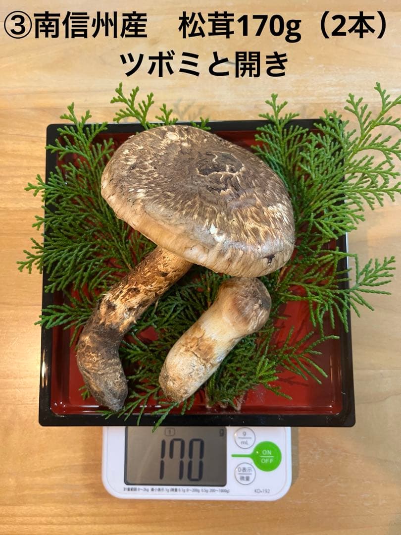 松茸170g（2本）長野県産松茸　南信州産松茸　国産松茸