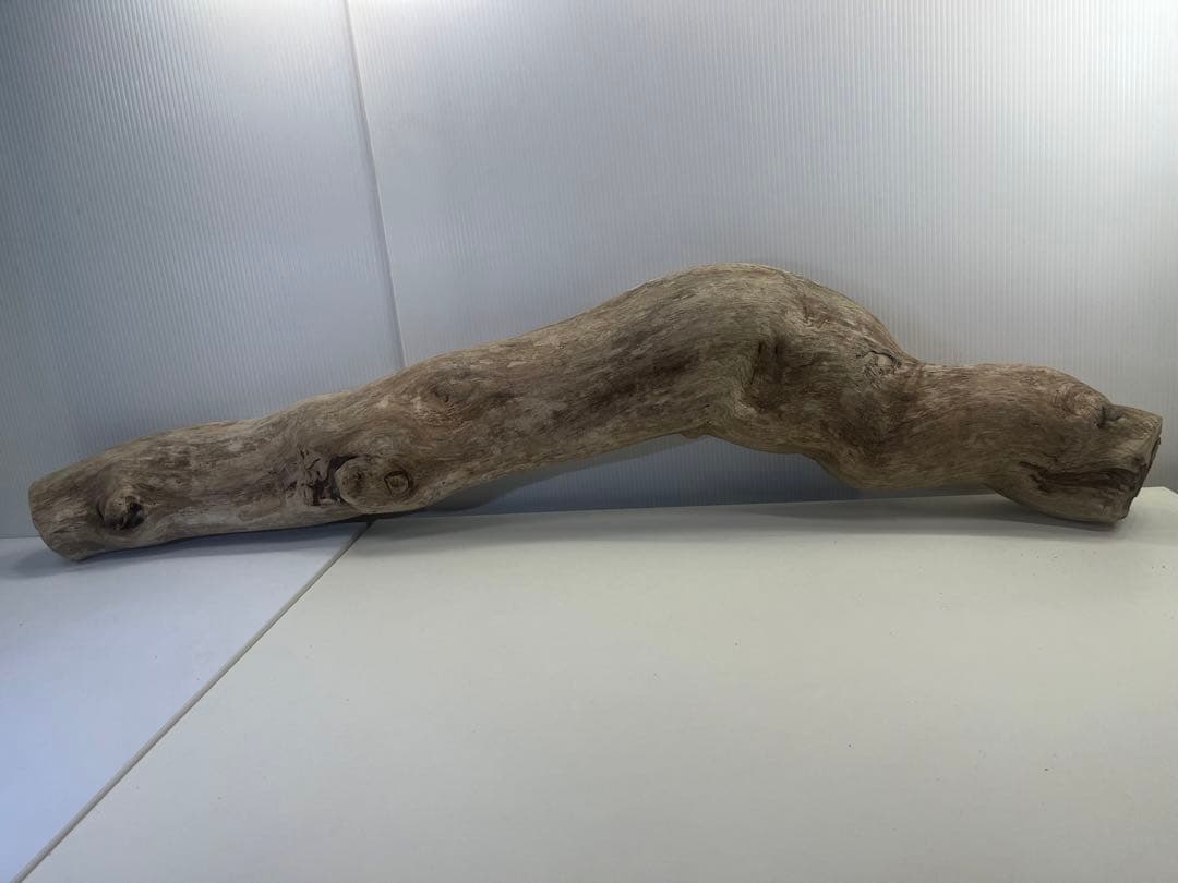 V3 特大流木 アク抜き済み流木 爬虫類シェルター 登り木 インテリア 生け花