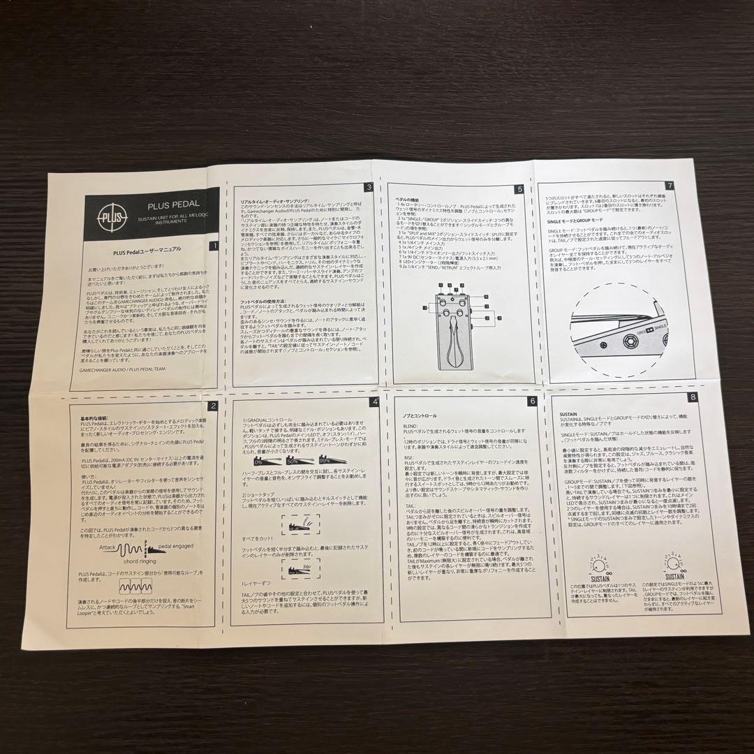 GAMECHANGER AUDIO PLUS PEDAL ＋WET Switch
