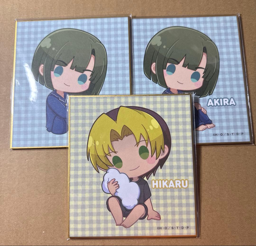 ヒカルの碁 まとめ売り ヒカル＆アキラ